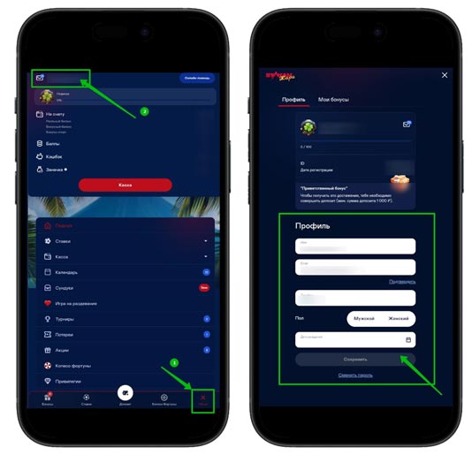 Идентификация профиля